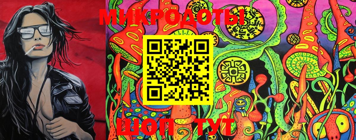 Псилоцибиновые грибы Psilocybe  как найти   Омск  Вход с VPN 